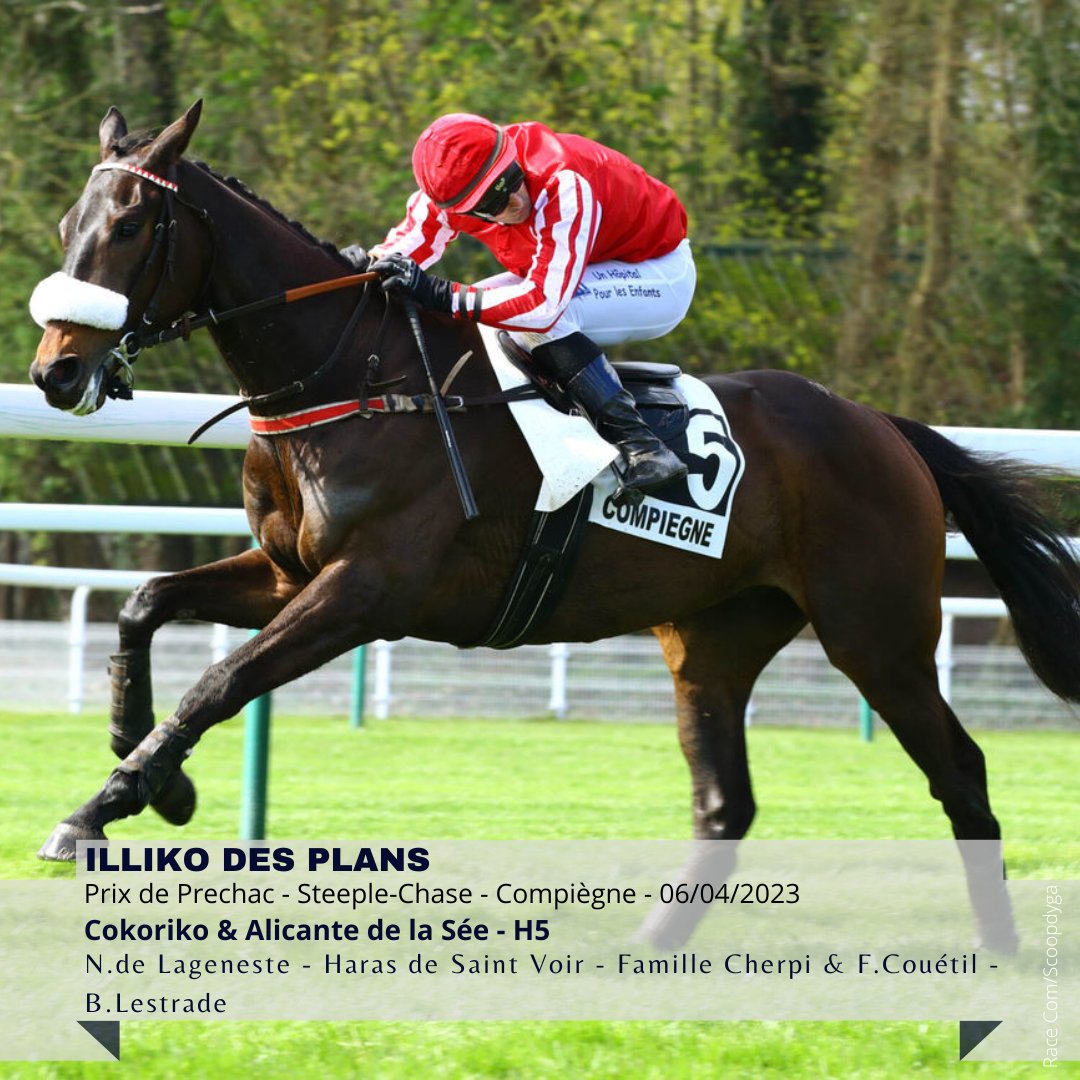 AQPS thefrenchchaser (@thefrenchchaser) on Twitter photo 🚀Pour son 2ème essai sur le steeple, ILLIKO DES PLANS (Cokoriko <a href="/HarasDeCercy/">Haras De Cercy</a> ) s'impose avec beaucoup de facilité à <a href="/HippoCompiegne/">Hippodrome Compiègne</a> sous la selle de <a href="/BertandLestrade/">bertrand lestrade</a> , l'entraînement <a href="/NLageneste/">Nicolas de Lageneste</a> et la propriété du Haras de Saint voir !
#bredtojump 🚀Pour son 2ème essai sur le steeple, ILLIKO DES PLANS (Cokoriko <a href="/HarasDeCercy/">Haras De Cercy</a> ) s'impose avec beaucoup de facilité à <a href="/HippoCompiegne/">Hippodrome Compiègne</a> sous la selle de <a href="/BertandLestrade/">bertrand lestrade</a> , l'entraînement <a href="/NLageneste/">Nicolas de Lageneste</a> et la propriété du Haras de Saint voir !
#bredtojump
