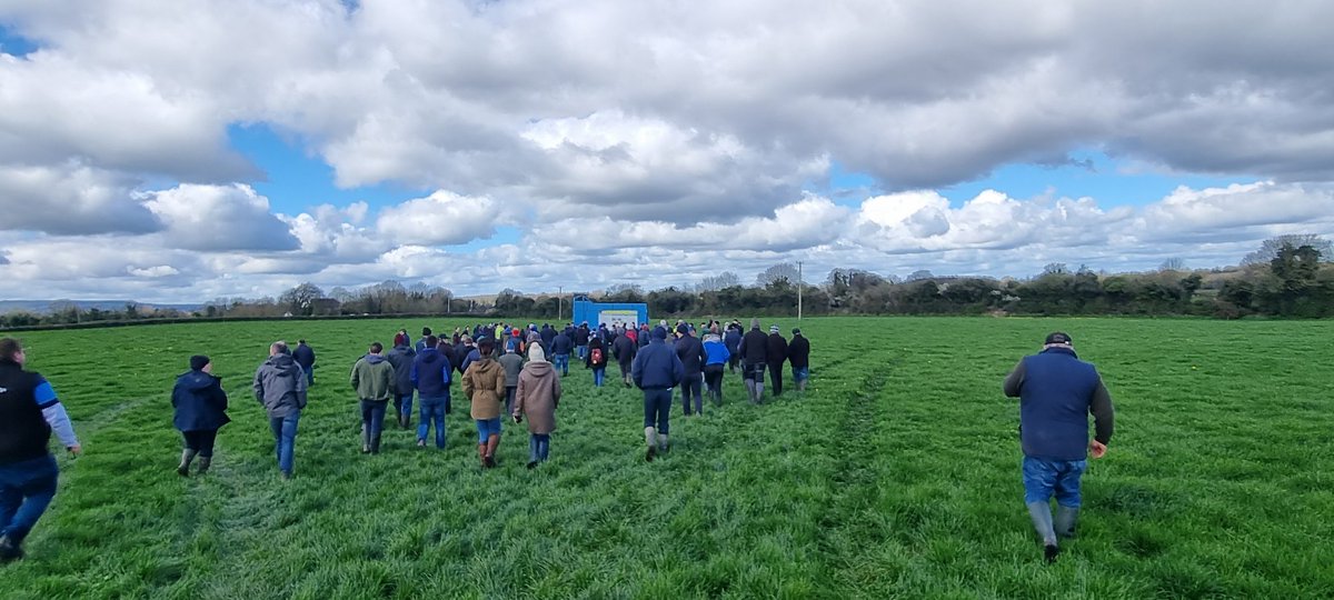 Fairplay <a href="/Daithi_fenno/">David Fennelly</a> , super setup, savage turnout  for the open day