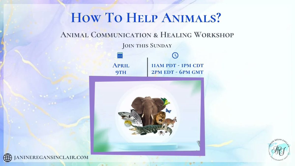 In this #workshop you will learn how to #communicate with your #belovedpets and #howtoheal them with #ONE. Don't miss it this Sunday, Apr. 9th at 11AM PDT-1PM CDT–2PM EDT-6PM GMT at janineregansinclair.com/workshops #animalhealing #animalcommunication  #healyourpet #animallover