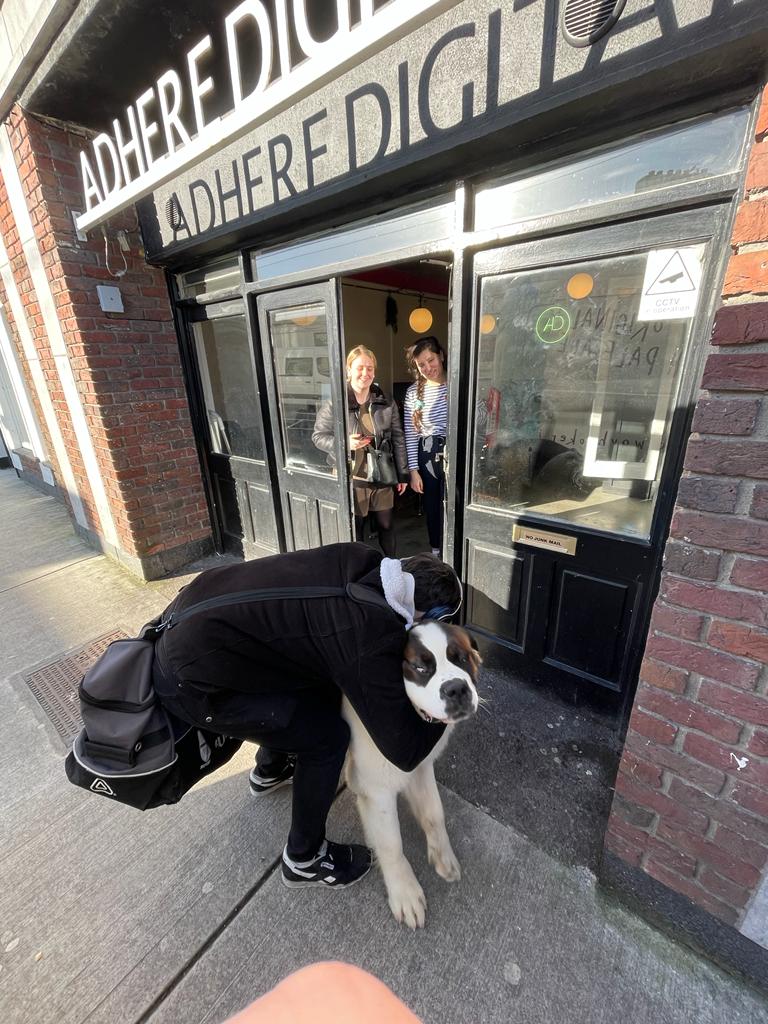 Adhere Digital tweet media