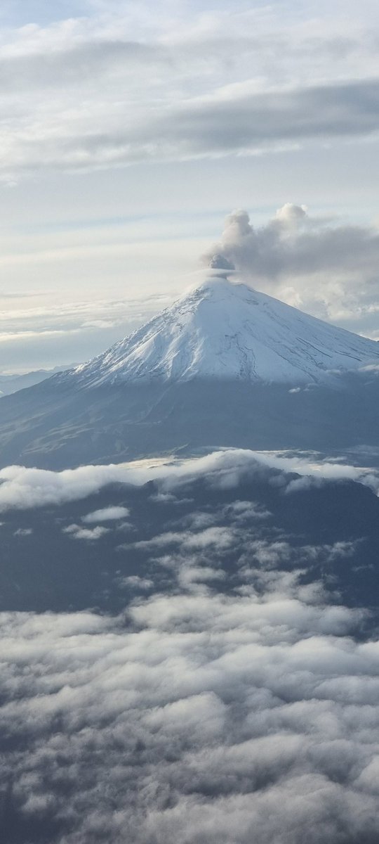 Andres Santos tweet media