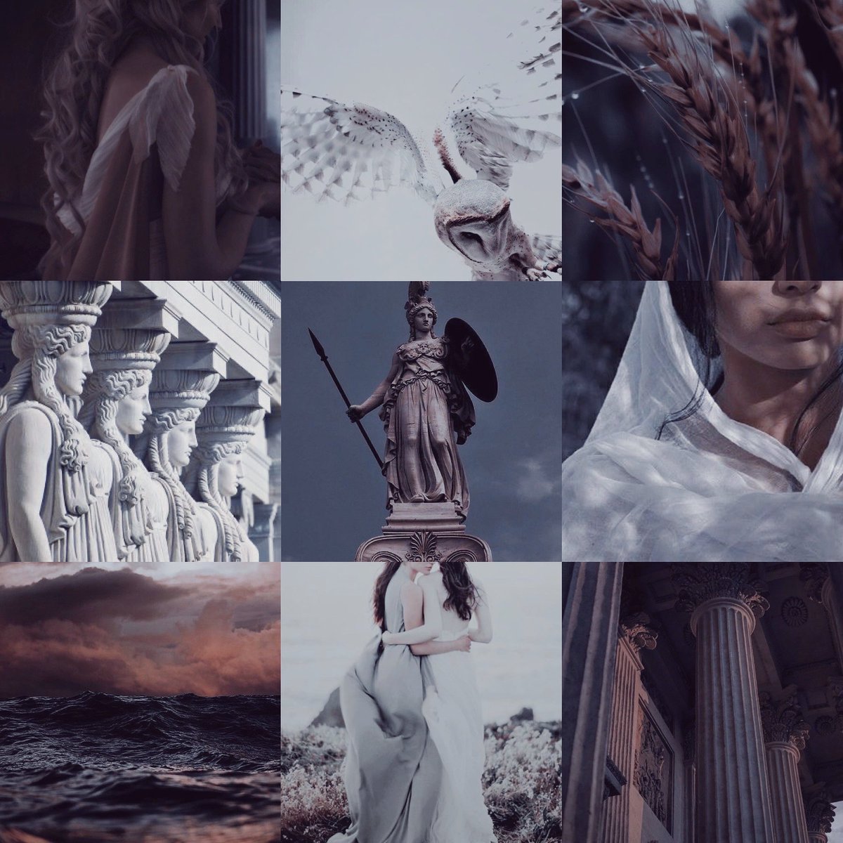 YA FOR THE WOLFxELEKTRA Five daughters for five sons, that was the promise made. Now they are all of age, one daughter is determined to rewrite their fates 🏺 Sapphic Greek myth reimagining 🌊 Slow burn romance 🏺 A perilous voyage 🌊 Meddling gods 🏺 Revenge #MoodPitch #YA #F