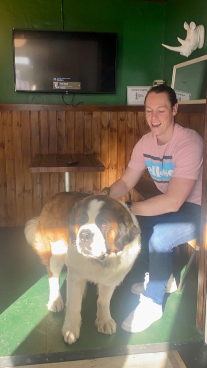 Adhere Digital tweet media