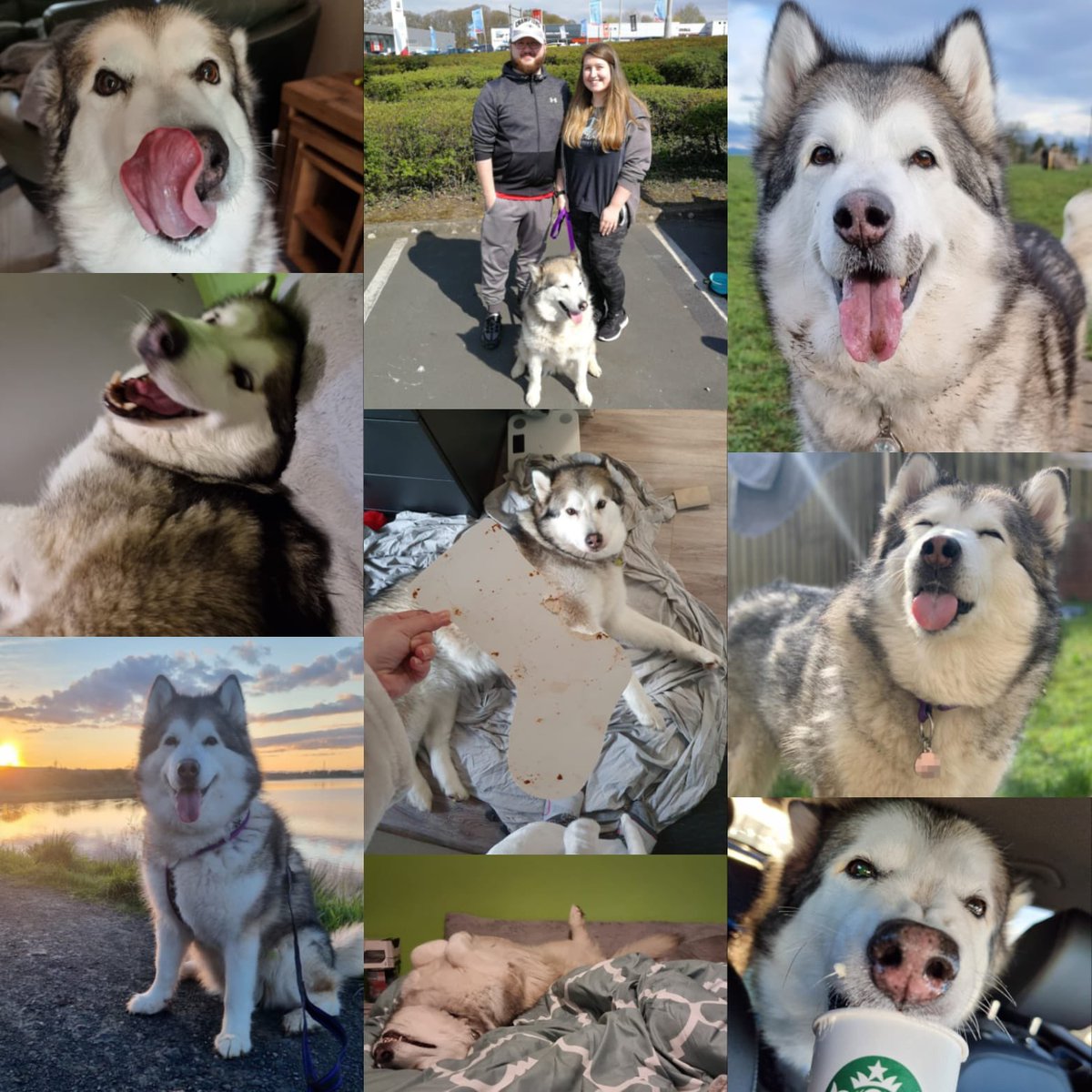 collectiveunit tweet media