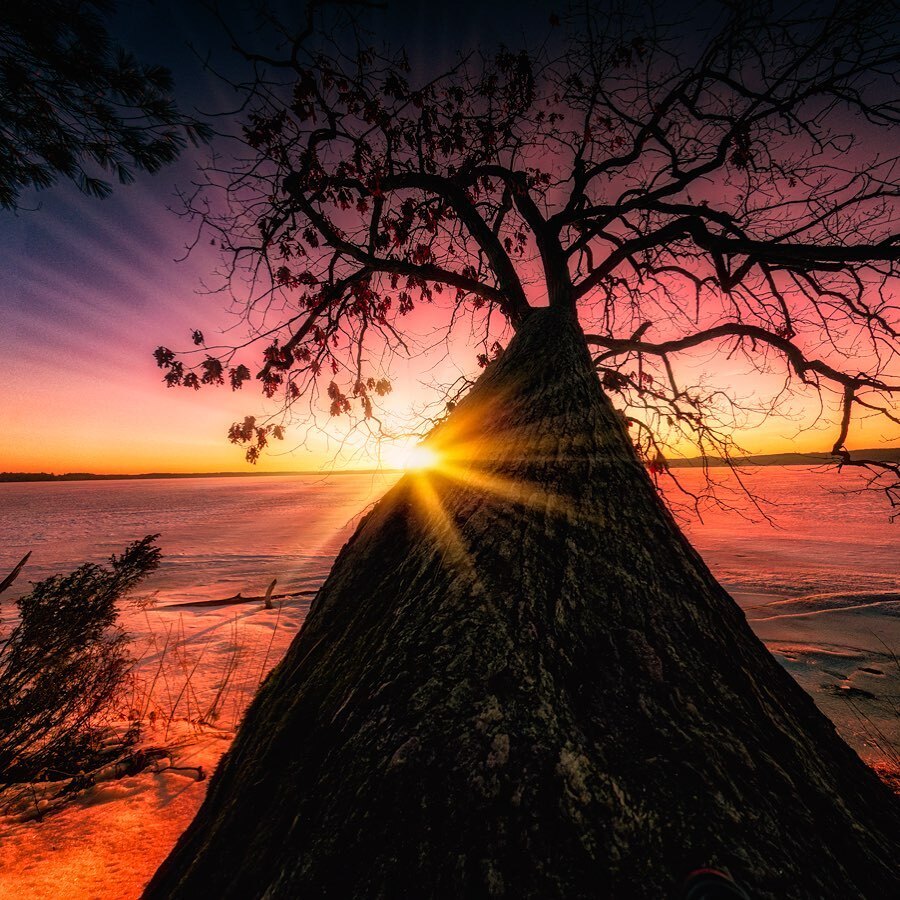 dennisbuchner's tweet image. Interlochen State Park #mistateparks #puremichigan #photography #nature #instagood #chasinglight #naturephotography #travel #beautiful #outdoors #sunrise #picoftheday  #photographer #explore  #michigan #michiganders #bestofthegreatlakestate #canon #nisifilters #reallyrightst…