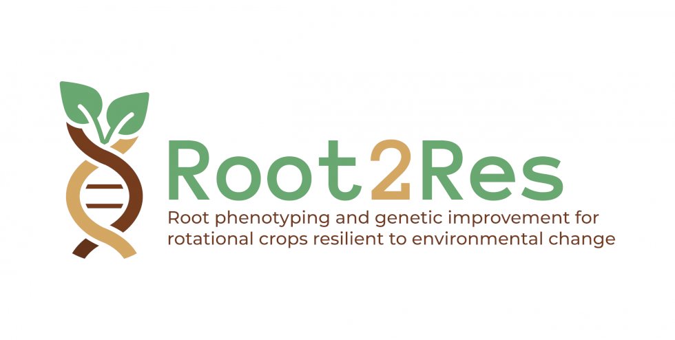 We've a 43 month Research officer role now available @teagasc in Wexford, Ireland #TeagascJC on @Root2Res focusing on how crop genetics control root and rhizosphere microbiomes & their resilience to climate stress. Join our team 🤗 topjobs-teagasc.thehirelab.com/LiveJobs/JobAp…. Appreciate RT.