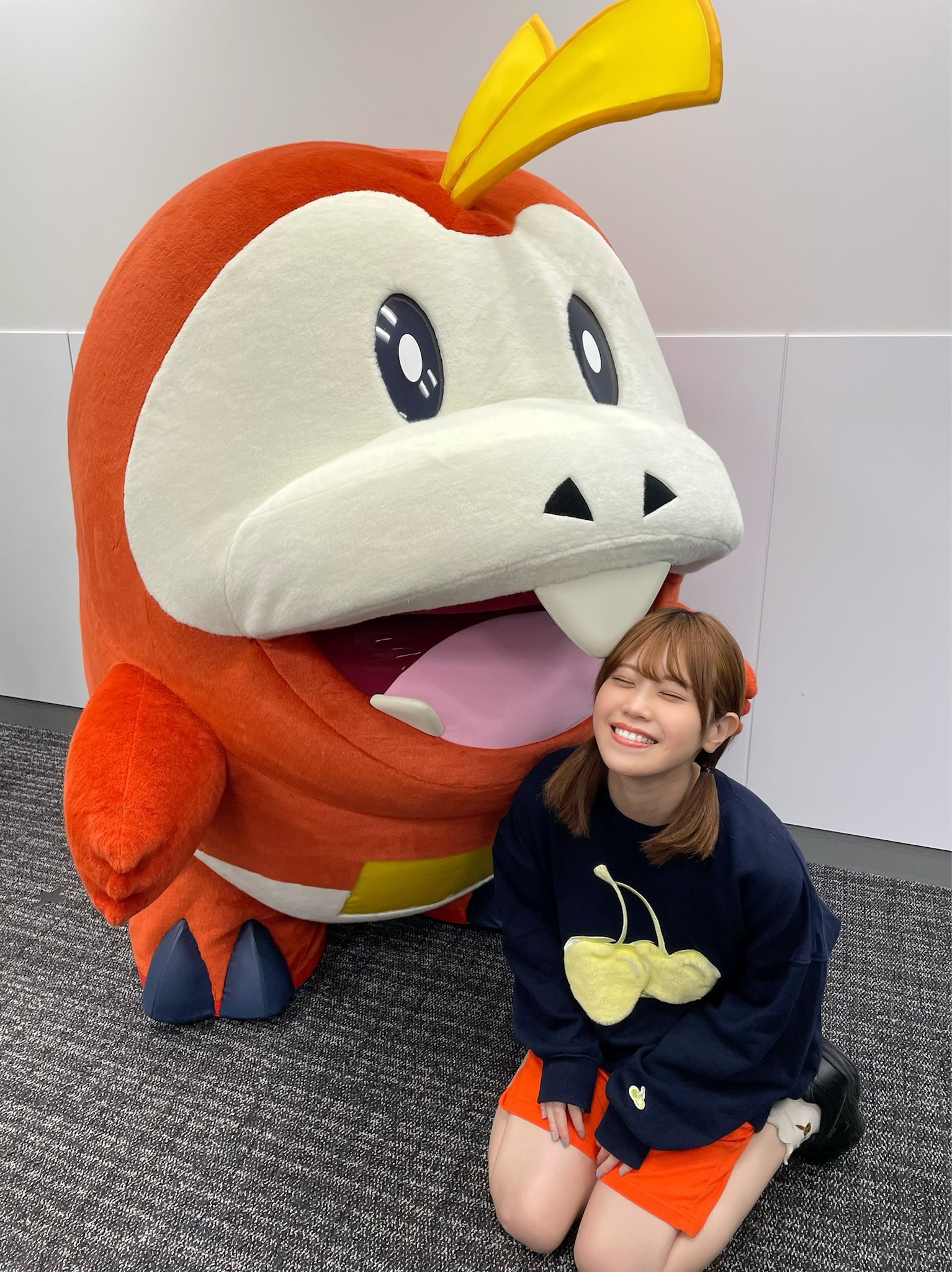 ポケるんTVのピカチュウとなかまたち 14枚セット