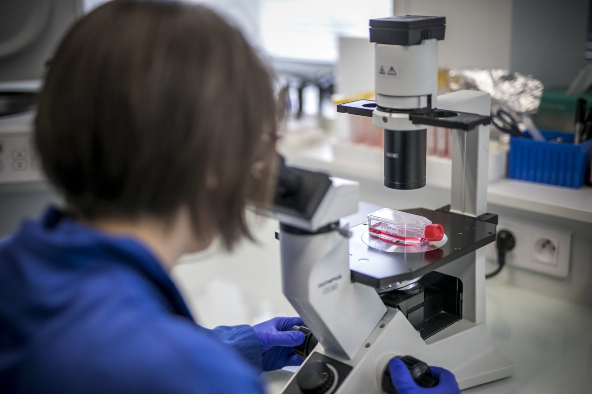 France Universités (@franceuniv) on Twitter photo France Universités : Relancer la recherche biomédicale en France !
📄 Communiqué et dossier de presse : franceuniversites.fr/actualite/fran…
Cc <a href="/Sante_Gouv/">Ministère de la Santé et de l'Accès aux soins</a> <a href="/sup_recherche/">Ministère Enseignement supérieur et Recherche</a> <a href="/sretailleau/">Sylvie Retailleau</a> <a href="/FrcsBraun/">François Braun</a> France Universités : Relancer la recherche biomédicale en France !
📄 Communiqué et dossier de presse : franceuniversites.fr/actualite/fran…
Cc <a href="/Sante_Gouv/">Ministère de la Santé et de l'Accès aux soins</a> <a href="/sup_recherche/">Ministère Enseignement supérieur et Recherche</a> <a href="/sretailleau/">Sylvie Retailleau</a> <a href="/FrcsBraun/">François Braun</a>