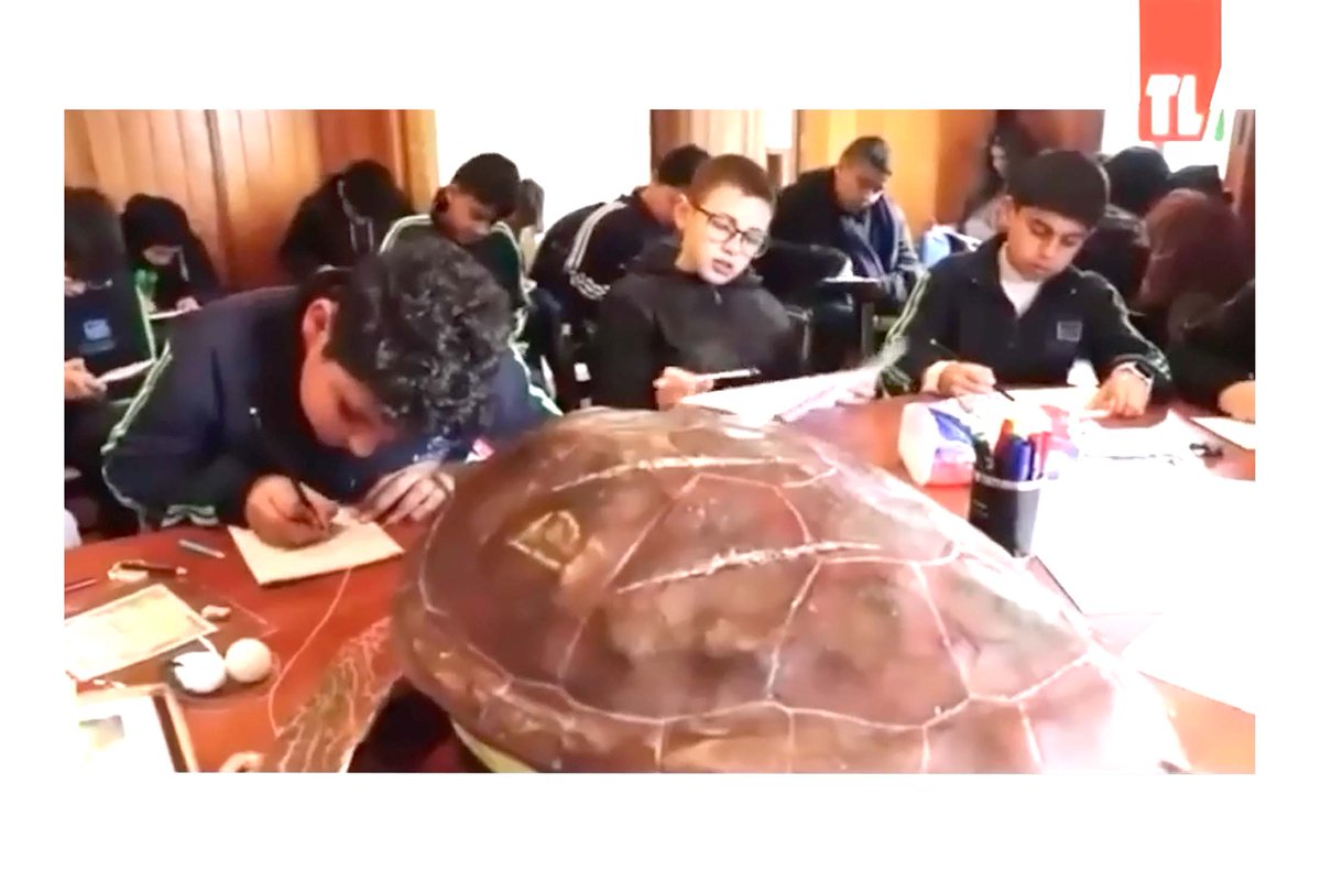 SPARACinfos's tweet photo. 🟡@TCNR1998 is offering guided tours and workshops on the reserve's marine life and threats posed by plastic pollution on #SPAMIday2023
In this report by @telelibantv, students involved in the initiative call on everyone to join in to keep the sea clean🌱
https://t.co/pzMw0nGrbm https://t.co/iV18EmYyb5