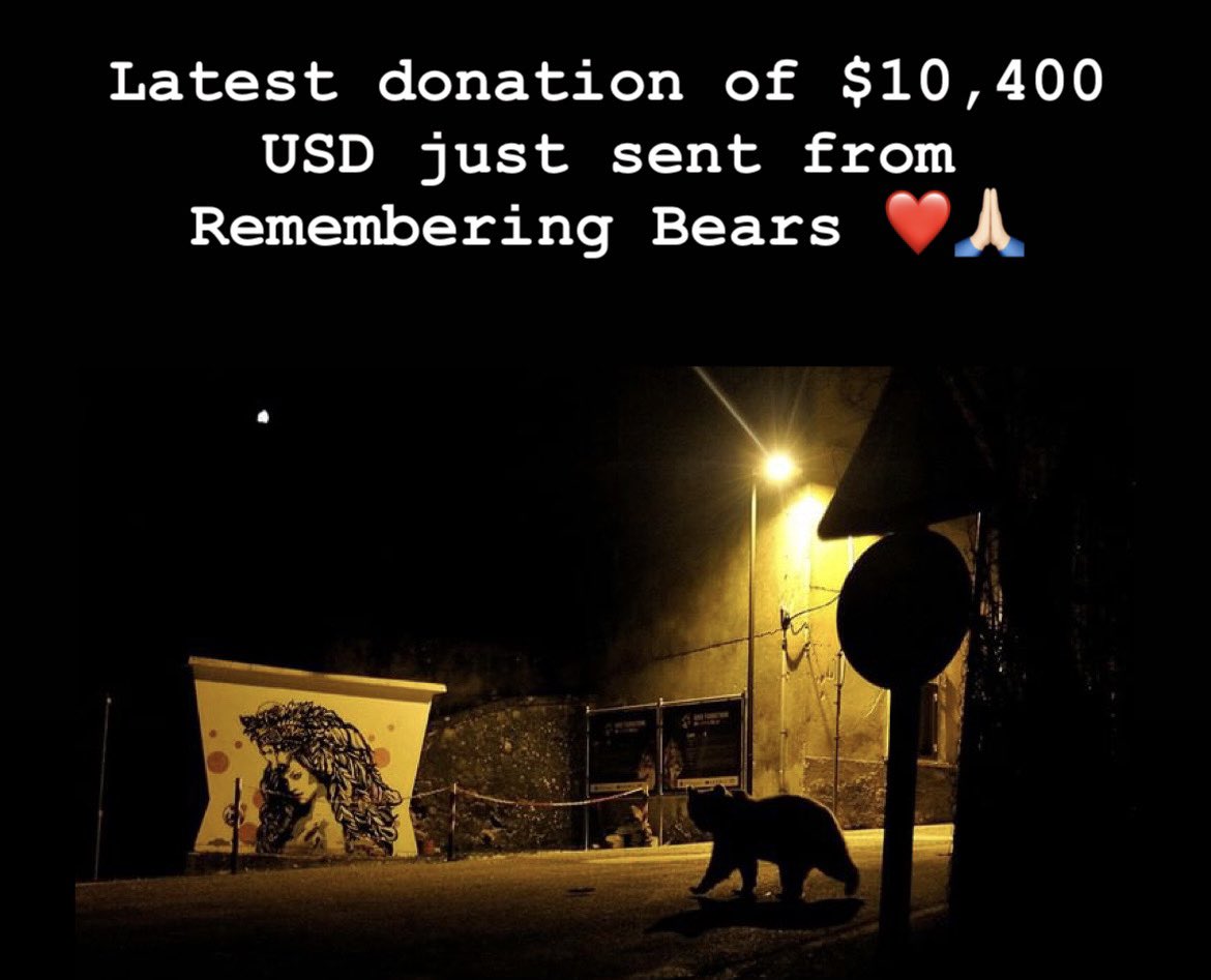 RemembrWildlife's tweet photo. Away from leopards for a moment, we just sent $10,400 USD to @salviamolorso for the protection of critically endangered Marsican brown bears in Italy. Thanks to everyone who contributed to and bought #RememberingBears 🙏🏻 https://t.co/TAcvRL1ah3