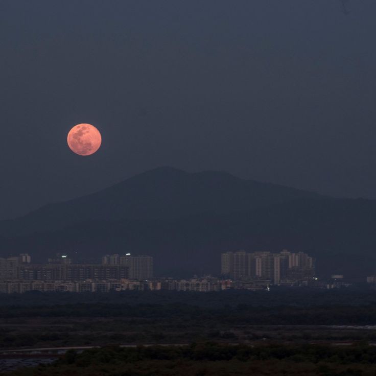 arshbajwaa's tweet image. and if you ever feel lonely,
just look at the moon,
it was bright, calm and pretty just like you are.