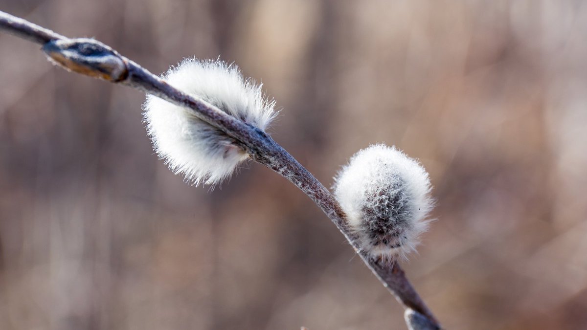 Iloista ja turvallista pääsiäistä!