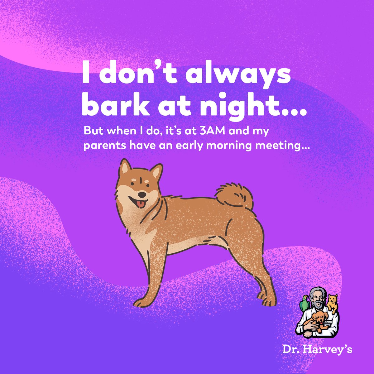 drharvey's tweet image. Pups. Gotta love &apos;em. Even when they wake you from a good sleep 😜  Love them longer with healthy, whole food nutrition. Our apologies if the extra energy makes them a better  night guard dog. #deepdogthoughts #drharveysdogs #dogmemes #doglove