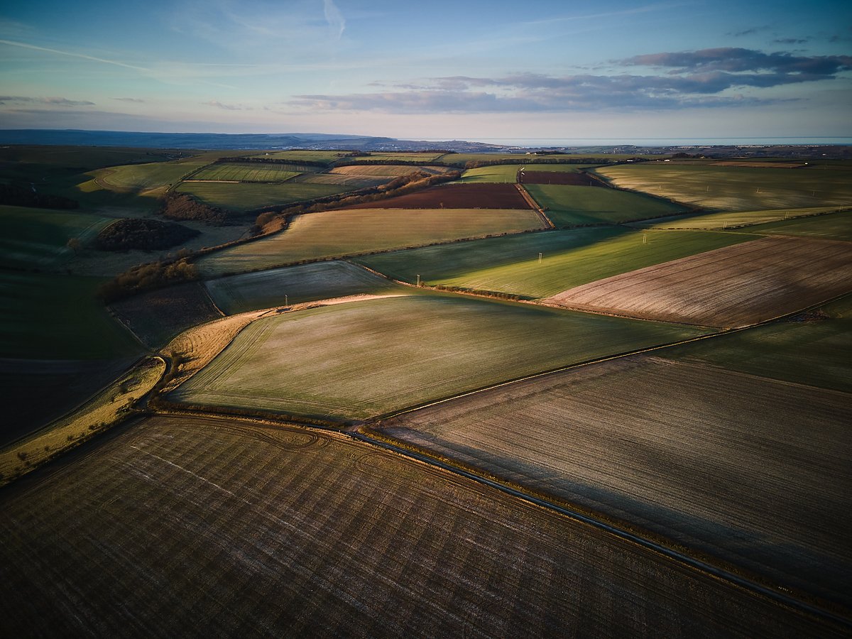 If you've a long weekend long journey planned, we've just the thing... 

Co-founder David recently joined Joshua and Jason from <a href="/OneNationWhisky/">OneNationUnderWhisky</a> podcast to get into the nitty gritty of soil, farming, single malt and whisky. 

Find it on your preferred podcast platform.