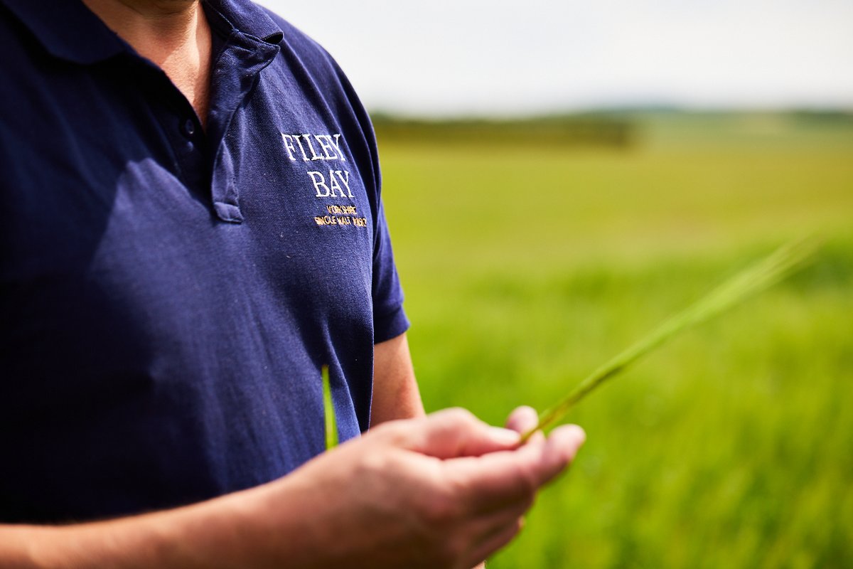 SpiritYorkshire's tweet photo. If you've a long weekend long journey planned, we've just the thing... 

Co-founder David recently joined Joshua and Jason from @OneNationWhisky podcast to get into the nitty gritty of soil, farming, single malt and whisky. 

Find it on your preferred podcast platform. https://t.co/33L9qctyGw