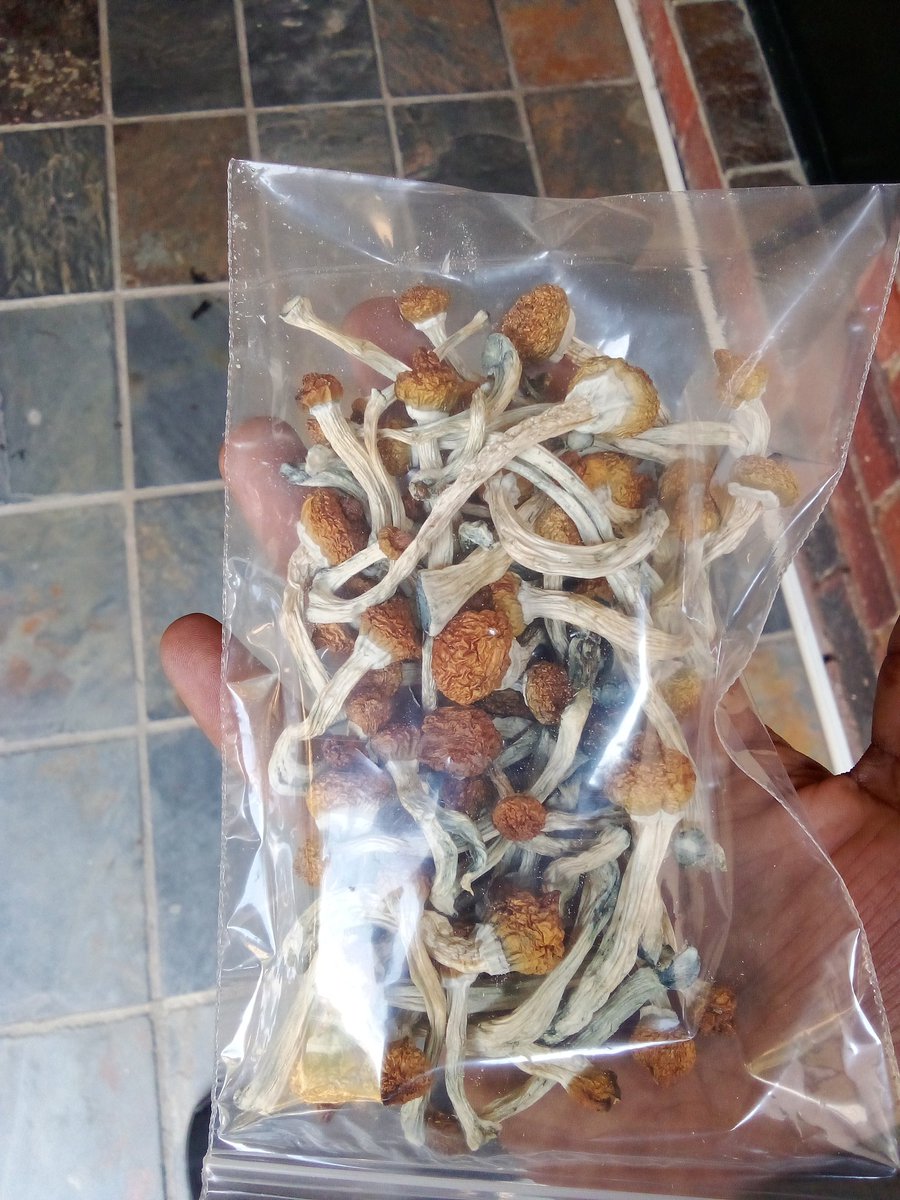 Mushroom power 💪💪 this could be you having the time of your life this Easter #Dmsopen #DMtoorder  #psychedelics Thabo Bester Johannesburg