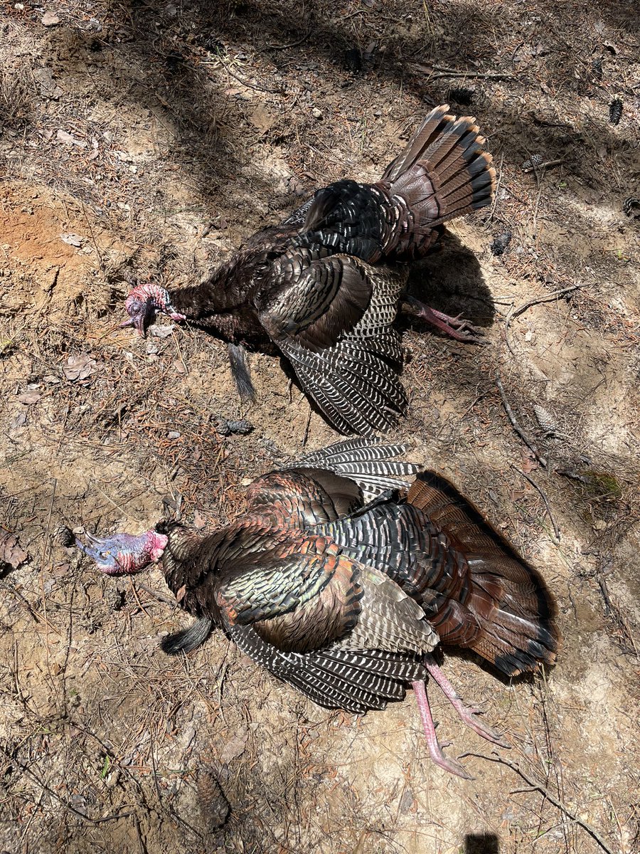 He/Him. Was/Were.
Is/ for supper! 
Starting to get my pronouns right. 
#cantstoptheflop