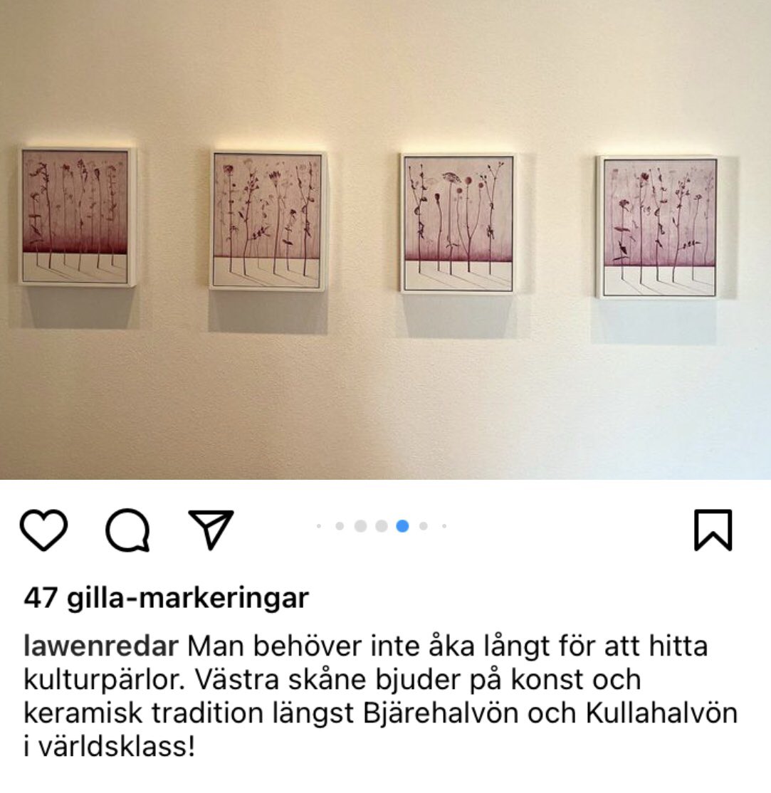 Maria Hall tweet media