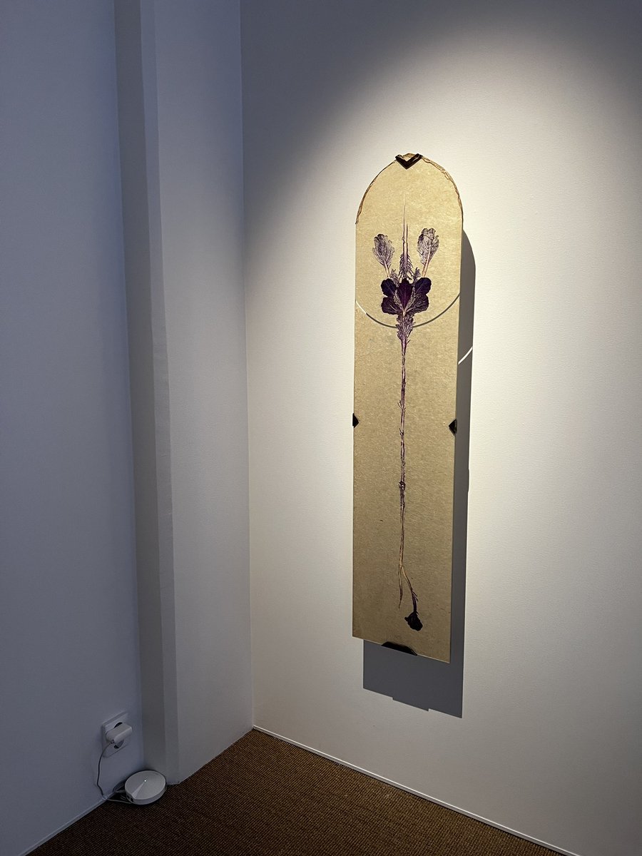 Good Morning 🌞 
Planning to visit the most popular exhibition in Sweden at Liljevschls today. Wondering if I find a single digital artwork there 🤓

Here is my favorite Swedish artist Dit Cilin. She works with plants a very similar way that I do 🖤🌿