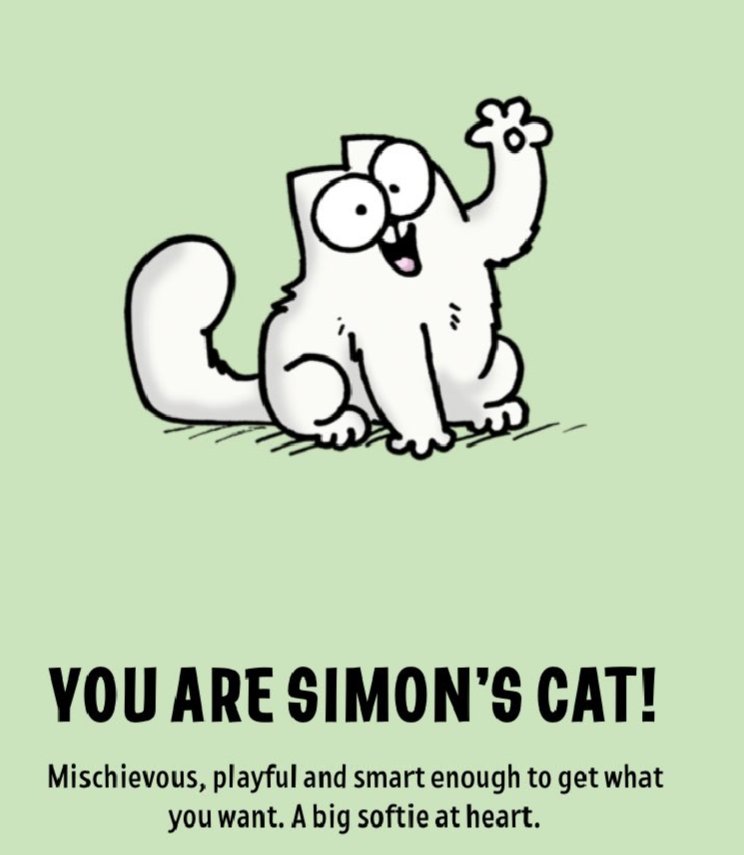 royamitava's tweet photo. @SimonsCat Yay!! 😸 https://t.co/0K10Y0ipR8