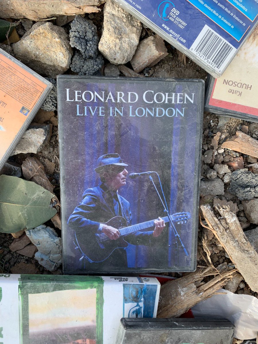 Çok geç başlanan çalışma, her saat geçtikçe umudumuzu yitirmemize sebep oluyordu. Enkazdan çıkan her fotoğraf, her bir kitap, her bir parça eşya bizi daha da üzüyor, artık bulduğumuz her şeyin birer anı olarak paha biçilemez değerde olduğunu anlamamıza sebep oluyordu.