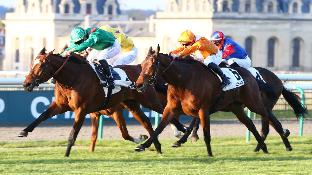 AgaKhanStuds's tweet photo. 🥇 Progressive 4yo #Eliyass won his third successive race of 2023 yesterday evening @fgchantilly, and looks to have Stakes potential.
The son of Le Havre provided another nice update for his dam Edilisa (#Azamour), who sold @InfoArqana in December 2021 to @StephenHillenBS. https://t.co/aignRlGvkg