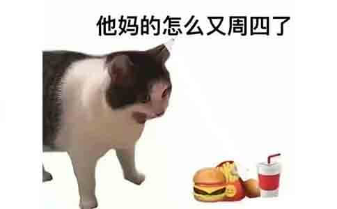 🎉一周一度肯德基节  
🎉抽几个小朋友吃大汉堡  
🎉肯德基疯狂星期四  
🎉KFC x 5  
🎉关注 <a href="/babyfollowme00/">Moonlight⭐</a>   <a href="/Eth_Aliceee/">LuckyAlice</a> 

🎉三连随意评论  

24h
#抽奖 #疯狂星期四 #抽u