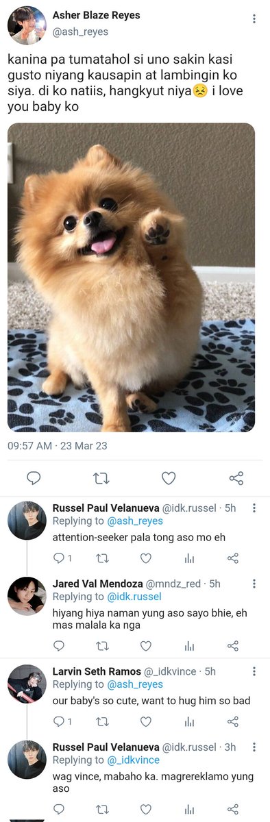 niks tweet media
