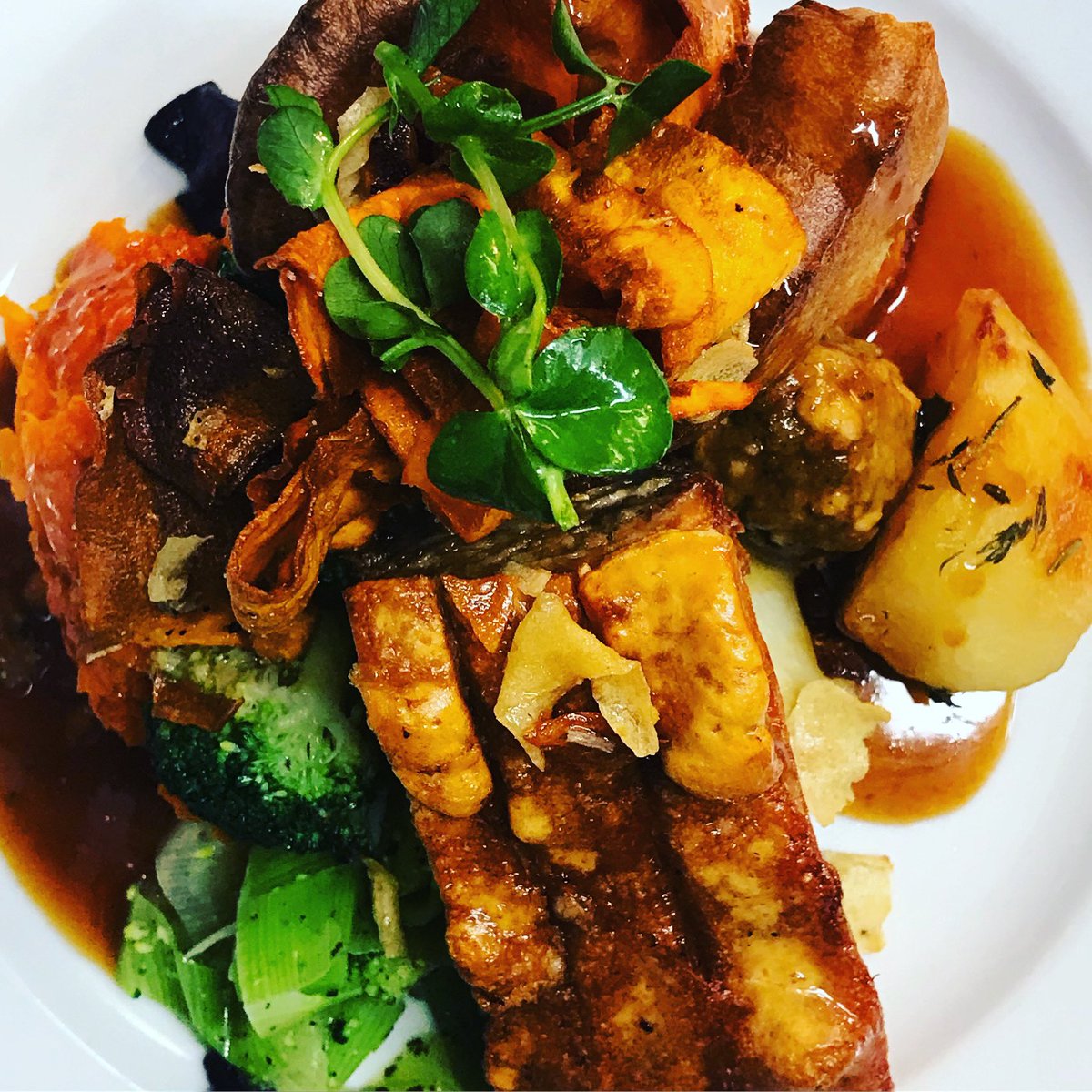 Stratford Haven tweet media