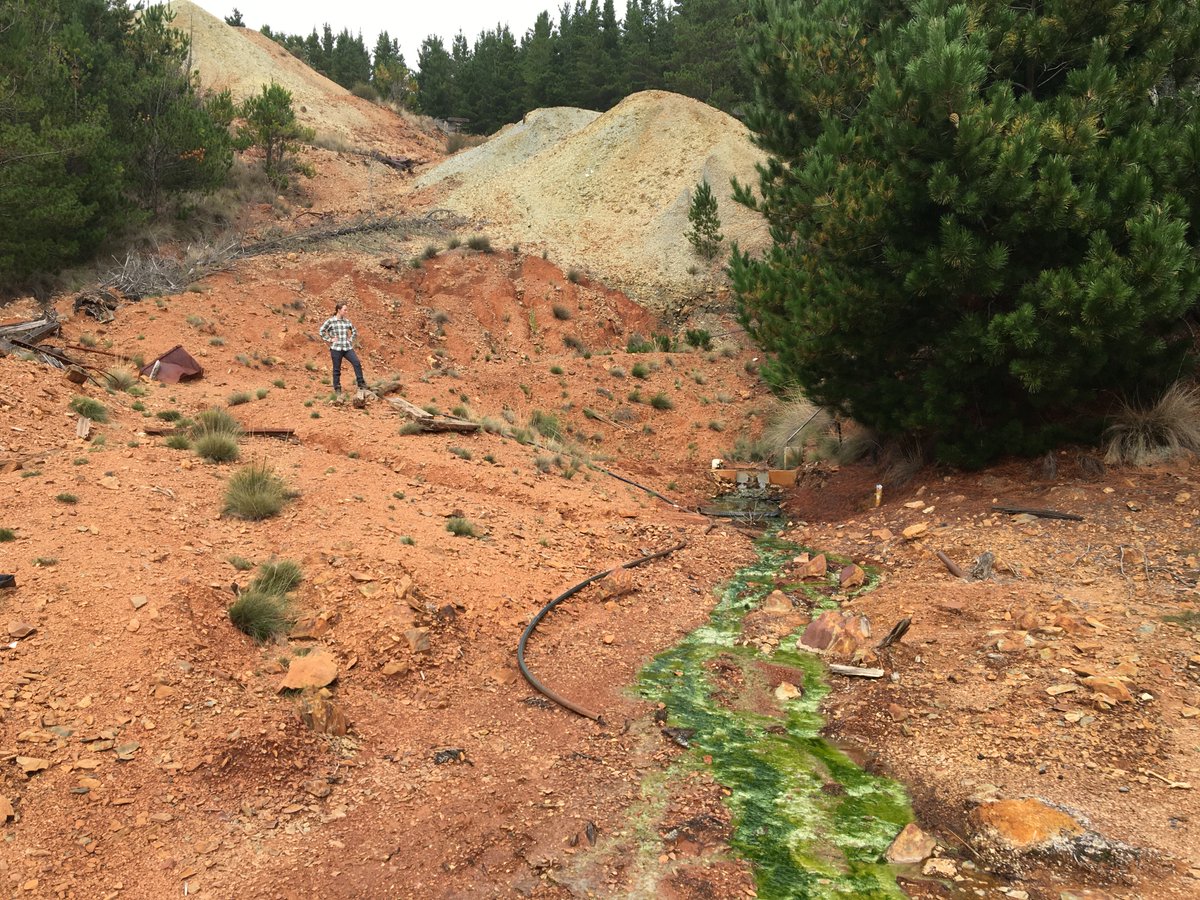 drianwright's tweet photo. Went to Sunny Corner today. The toxic moonscape is confronting. Textbook acid-mine-drainage still bubbling out of mine workings a century after they closed (pH just above 3). Metal concentrations are stratospheric. When mine operations close - we must clean-up the mess! https://t.co/GCJaHqIvXq