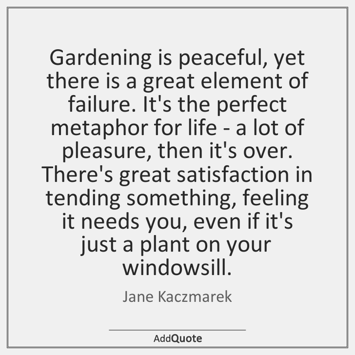 addQuotecom's tweet image. Jane Kaczmarek #JaneKaczmarek #Quote #Quotes