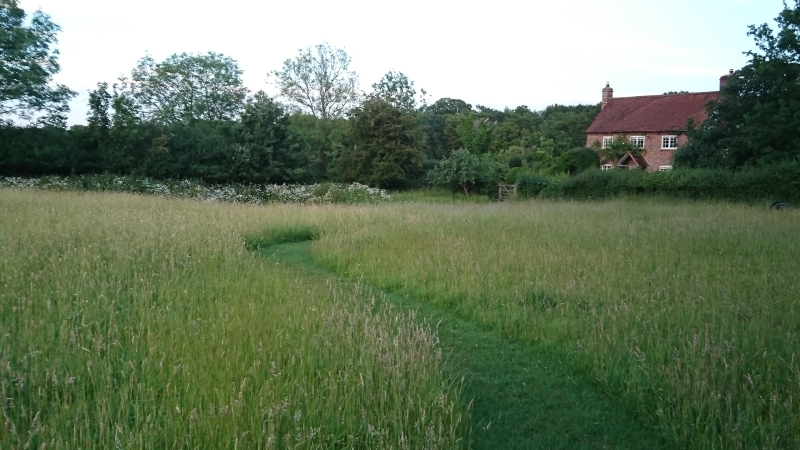 HertfordshirNGS's tweet photo. TODAY! A #wildflower #meadow leads to the #cottagegarden at Rustling End Cottage #Codicote #Hertfordshire SG4 9TD. Evening opening 5pm-8.30pm, enjoy some wine while you take in this fabulous #garden designed with #wildlife in mind. #kidsgofree See more  https://t.co/NpksQXoEUJ https://t.co/BI7QqZWnWE