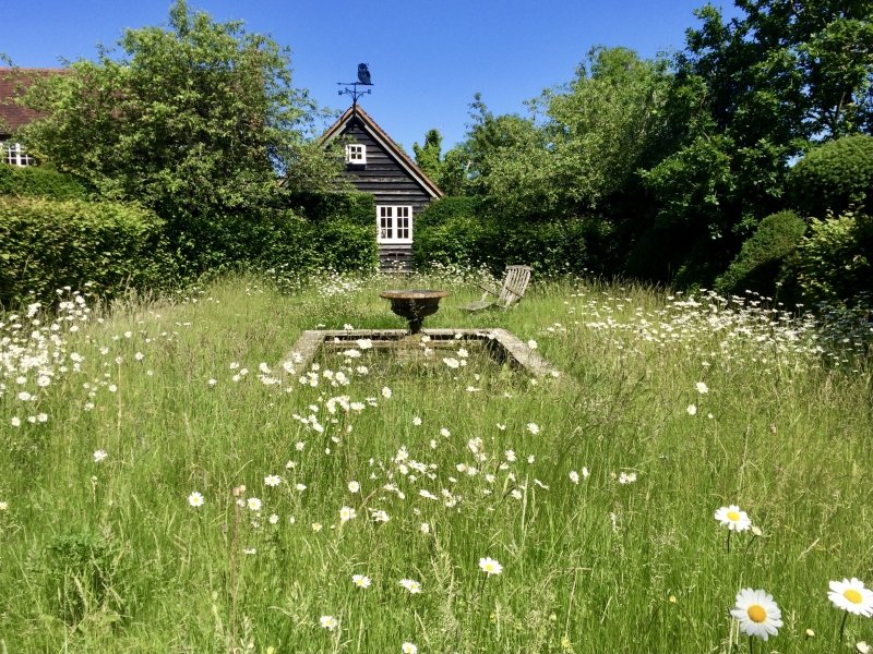 HertfordshirNGS's tweet photo. TODAY! A #wildflower #meadow leads to the #cottagegarden at Rustling End Cottage #Codicote #Hertfordshire SG4 9TD. Evening opening 5pm-8.30pm, enjoy some wine while you take in this fabulous #garden designed with #wildlife in mind. #kidsgofree See more  https://t.co/NpksQXoEUJ https://t.co/BI7QqZWnWE