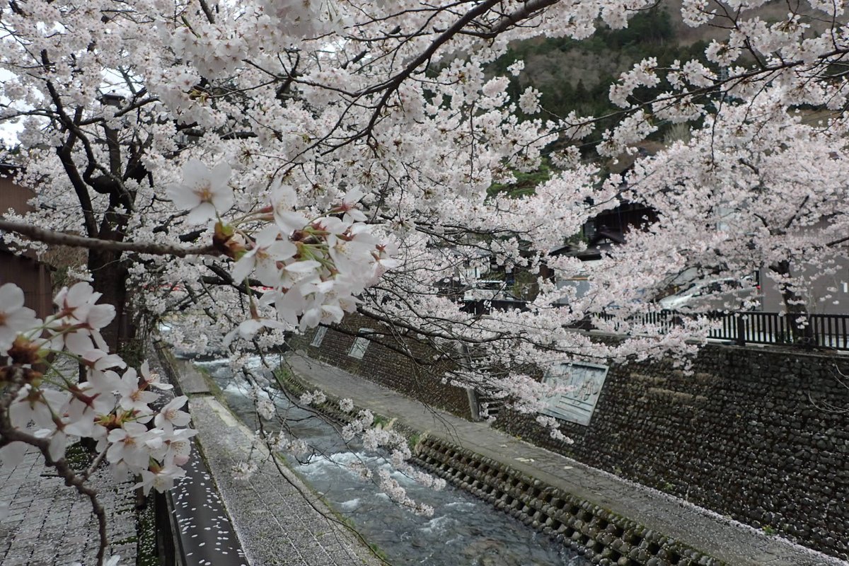 国土交通省 神通川水系砂防事務所 on Twitter