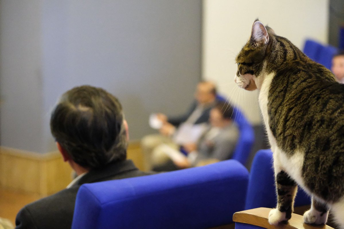 BodrumInstitute's tweet photo. 📷#BodrumInstitute Stratejik Plan Arama Konferansı.

#BodrumInstitute etkinliklerinin geniş bir katılımcı kitlesi olduğu doğrudur. 😊🫶😻

🟠🔵 https://t.co/dL17aIevLV