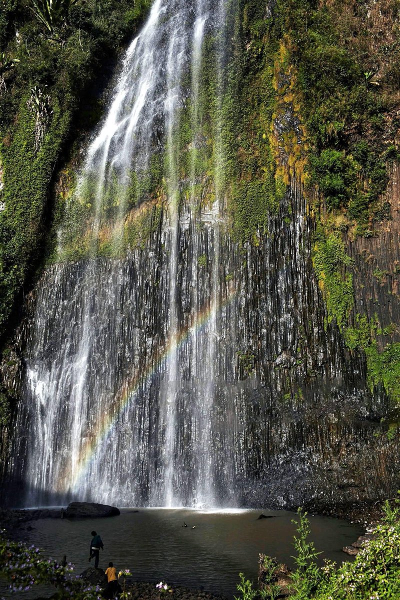 ETEmbassyBRU's tweet photo. The immense beauty of 𝗕𝗲𝗿𝘁𝗮 𝗪𝗮𝘁𝗲𝗿𝗳𝗮𝗹𝗹 in #Keffa biosphere reserve is sure to take your breath away.
📍 Berta waterfall- Bonga, Keffa
#LandOfOrigins #VisitEthiopia #bertawaterfall #bonga #keffa #Ethiopia #tripethiopia #southwesternethiopia #keffabiospherereserve https://t.co/o1pZ7DhLCQ