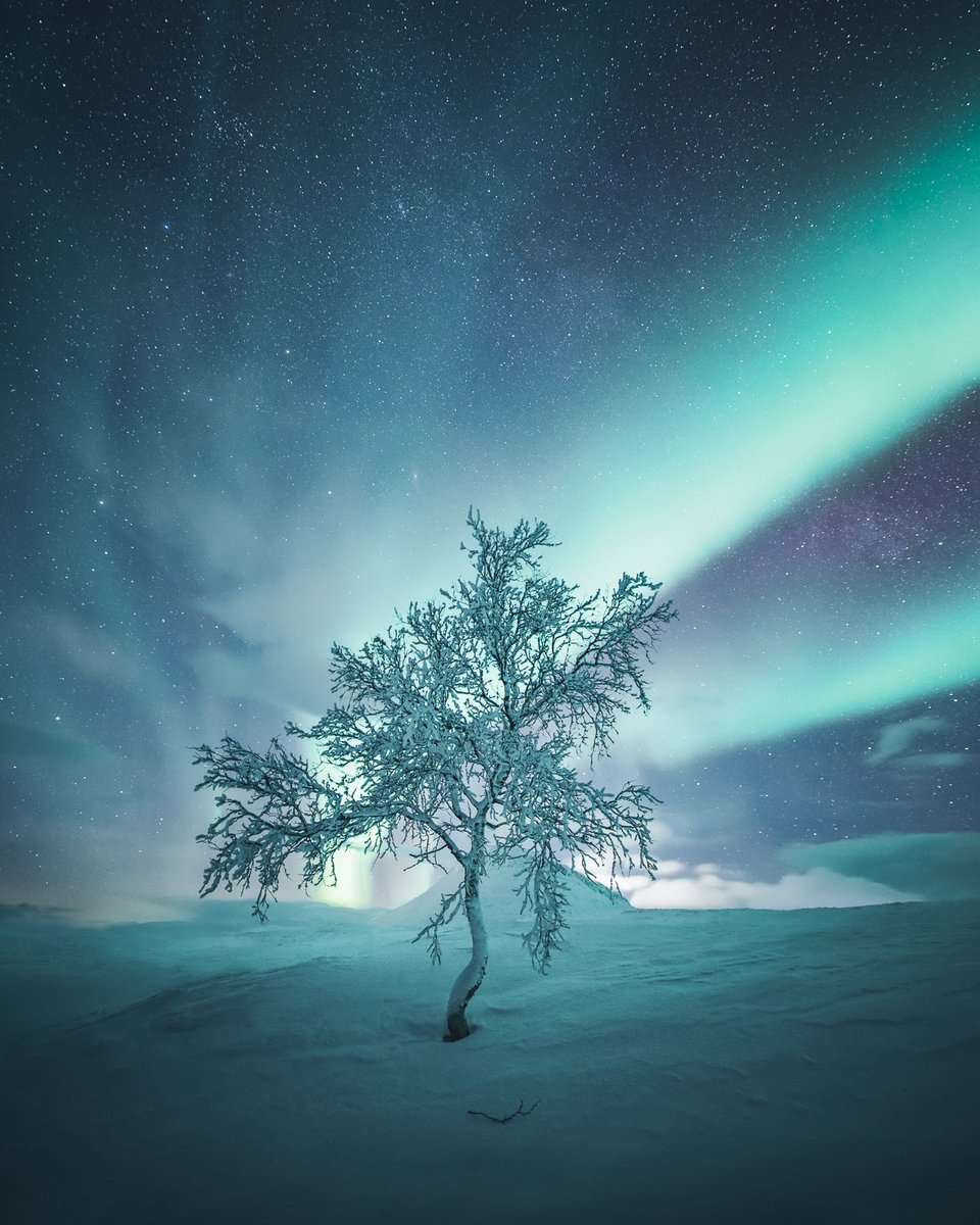 MikkoLagerstedt's tweet photo. GM from the north. https://t.co/juqh7ggpei