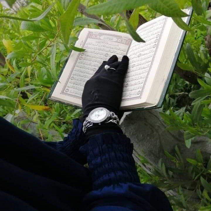 T.M.ABDULRAHMAN tweet media