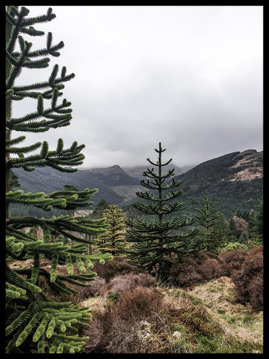 TheCemetress's tweet photo. 🖤🖤🖤
Hope you've a great Thursday!!!
#MountainTopViews https://t.co/saFZkoYjjx