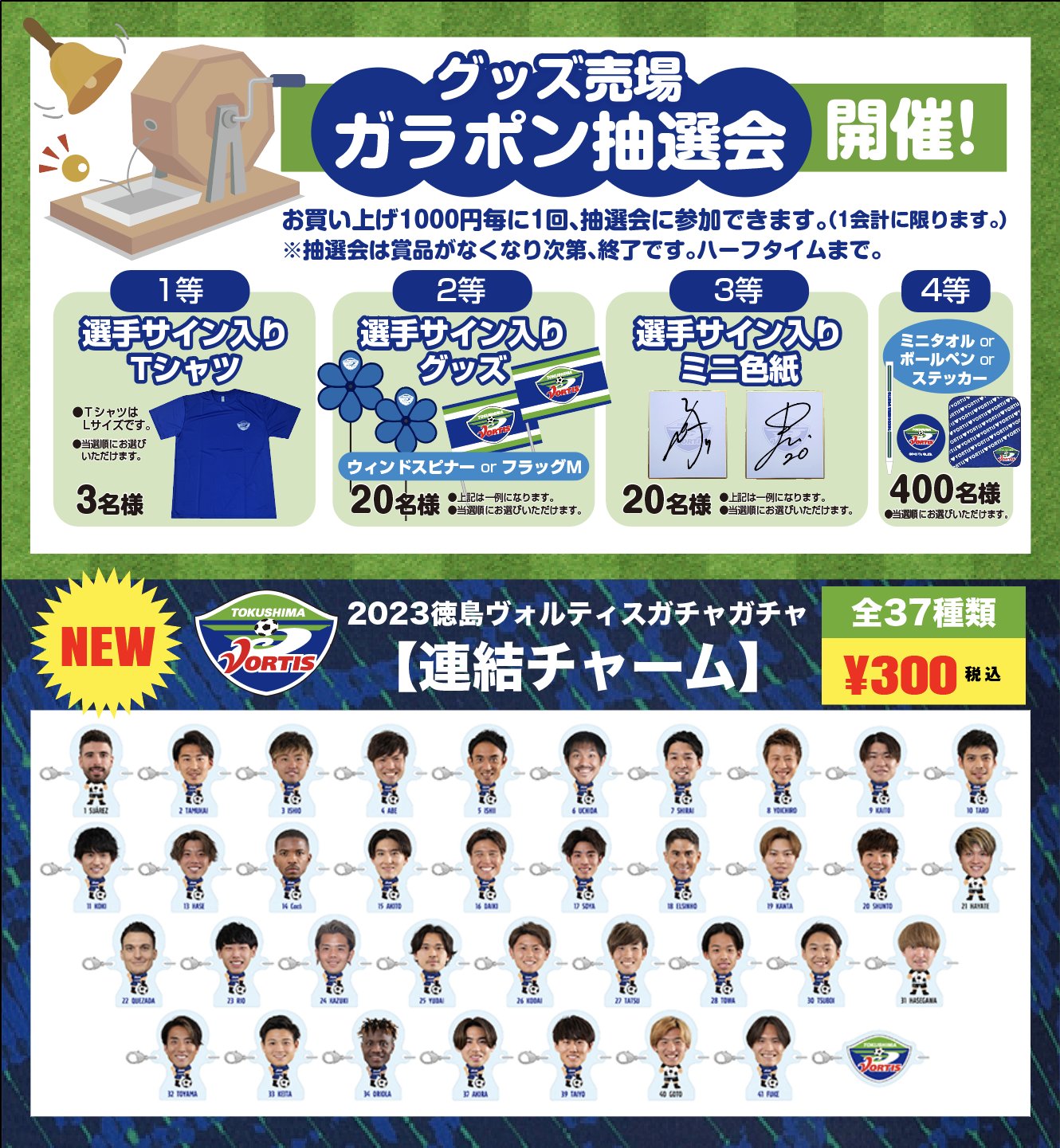 徳島ボルティスの選手サイン入りポストカード