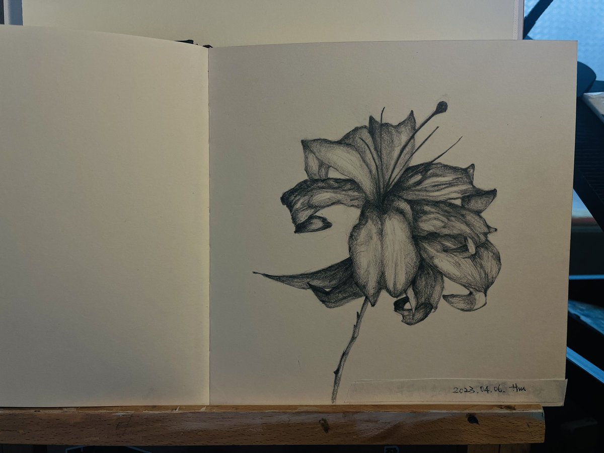 230406 🌧️🌧️🌧️

#pencildrawing #onpaper