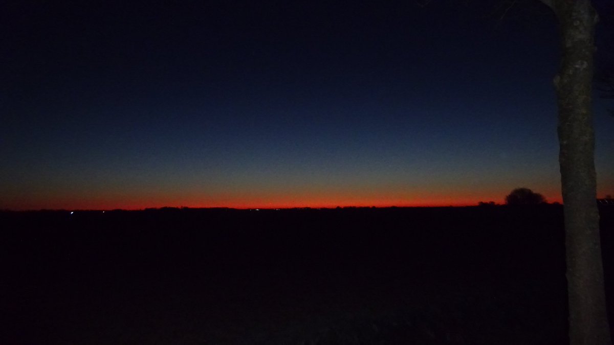 Pietsje Hannema Greidanus tweet media