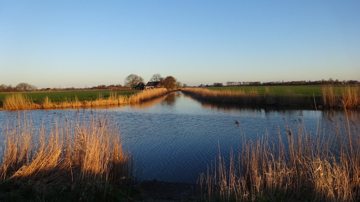 Pietsje Hannema Greidanus tweet media