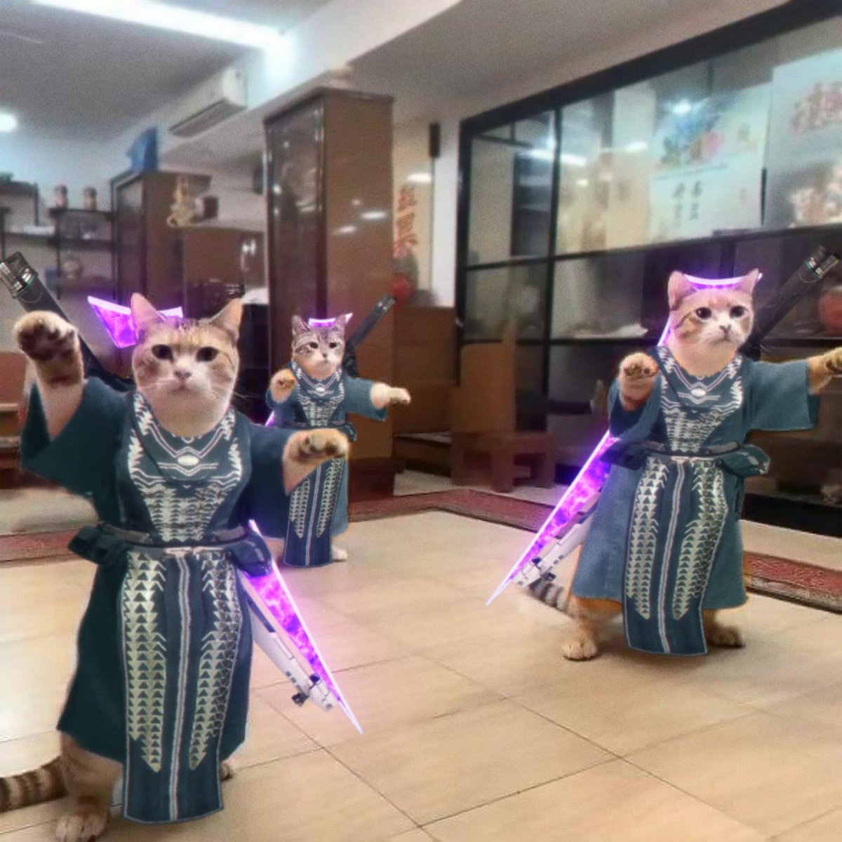 oddmb_'s tweet photo. editing the other half to cat pics everyday until I forget #209 https://t.co/VFIlVwQVZG