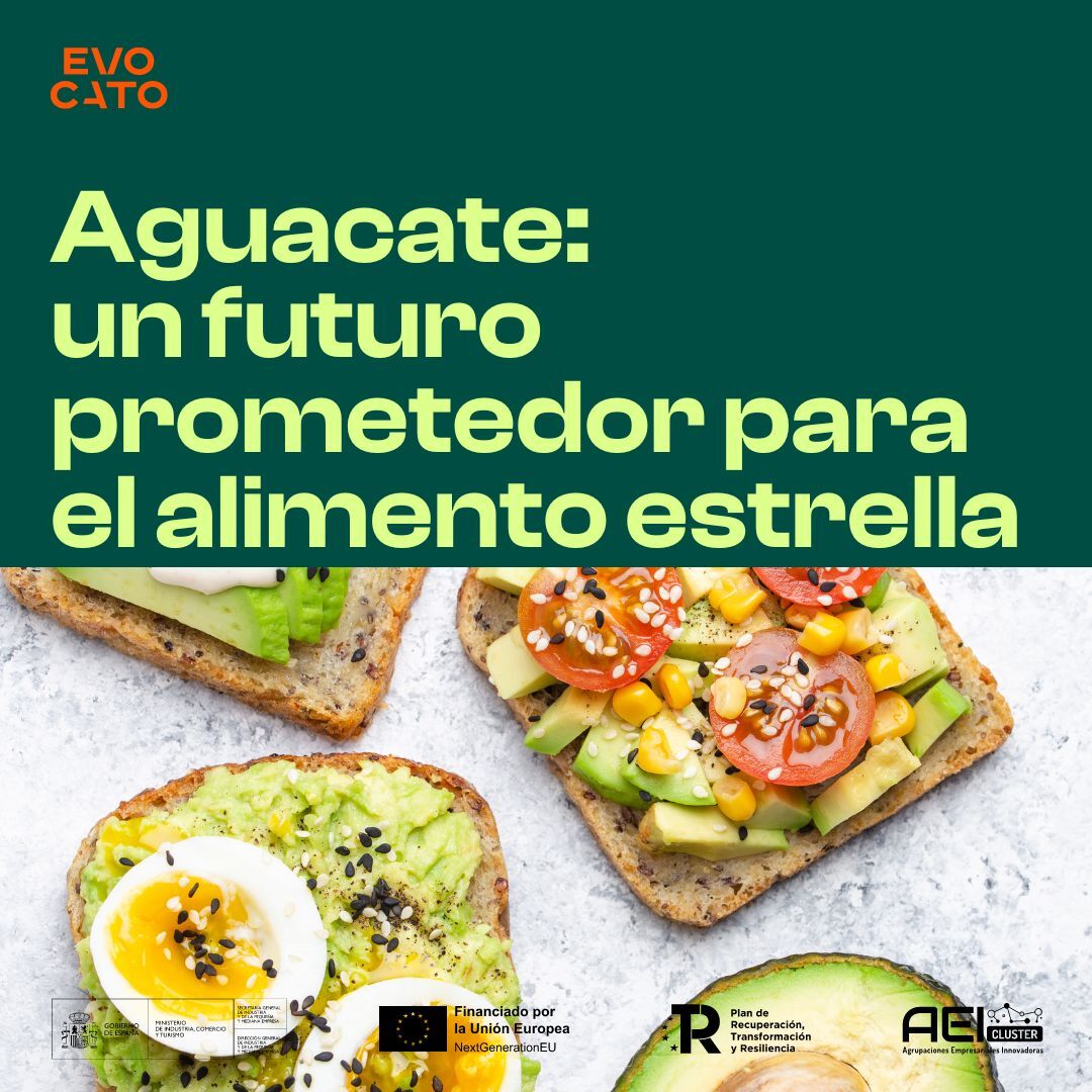 EvocatoOptimo's tweet photo. 🥑La demanda del superalimento alcanza niveles históricos

⚙️La #tecnología e #inteligenciaartificial serán nuestras aliadas para un cultivo sostenible y eficiente

¿un ejemplo? #Evocato

@onGranadaTC @Fidesol @tercetocomunica @nazaries @CanalUGR @GrupoLCA https://t.co/xvGRKm7Pgh