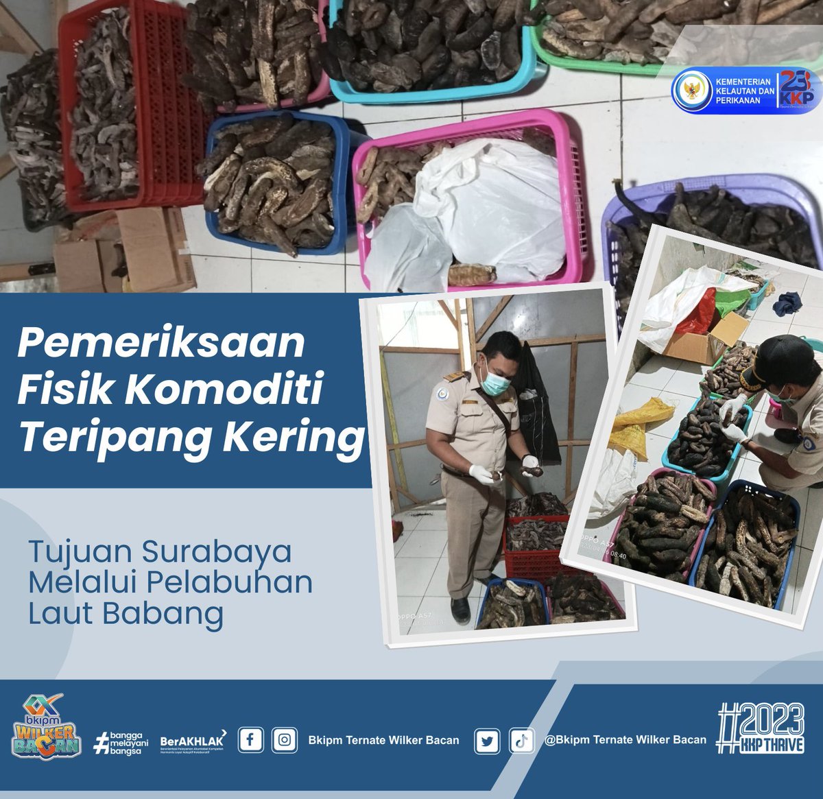 wilkerbacan's tweet photo. 06/04/23 #OneHealthKIPM Giat pemeriksaan Fisik media pembawa komoditi Teripang Kering tujuan Surabaya melalui pelabuhan Laut Babang #KKPThrive @kkpgoid @bkipm_kkp @BuTariPmk @BKIPMTernate @arsal_azis @Ambodallemardia @UHardianto @Naidil_yahya28 @AliNazarudin https://t.co/wNMzfeJAfF