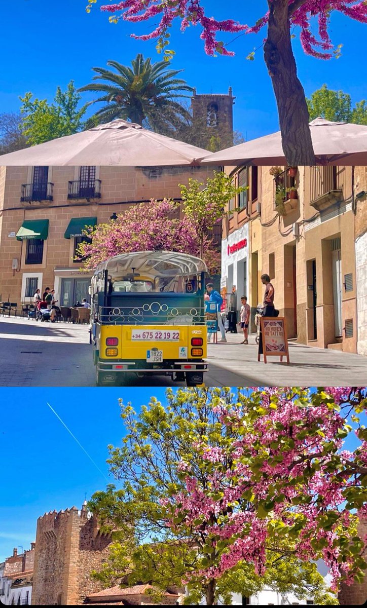 Un #Cáceres  para los ajenos a las procesiones😍