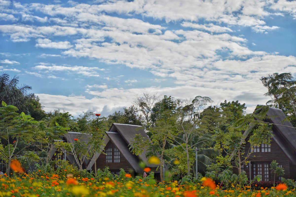jc0524's tweet photo. 🌻 W A L K I N G  B A C K  I N T O  T H E  L I G H T 🏡
•
•
•
•
•
•
•
•
#BeAlpha #SonyAlpha #passionpassport #stayandwander #naturelovers #lifeofadventure #philippines #exploretocreate #createexplorediscover #DiscoverMNL #tarasasouth #TigaSouthKaBa #beautifuldestinations https://t.co/VQndr0oWBP
