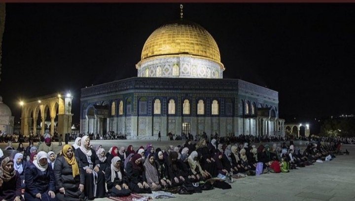 Müslümanlar ayağa kalksa 

Kendini Kudüs ve Filistin'in sahibi sananlar 

Arkasında saklanmak için diktikleri 
Gargat ağaçlarını bile bulamazlar.

Uyan eyy Müslüman
#MescidiAksaBiziBekliyor