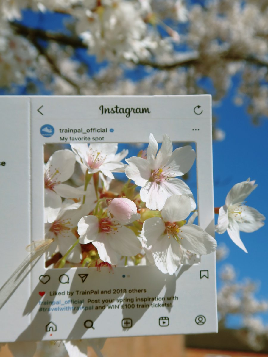 trainpal_go's tweet image. 🤩Share your spring inspiration and win big🤩

🌺Post your spring inspiration under #TravelwithTrainPal and follow us🙌. You will have a chance to win £100😍 on UK train tickets!

Every participant in the event stands a chance to win a mystery prize!🥳